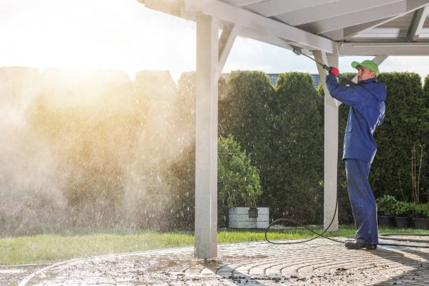 Best Warehouse Cleaning  in Norris City, IL
